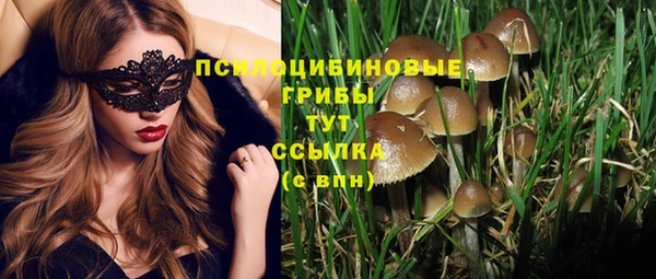 альфа пвп Беломорск