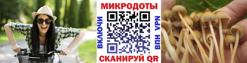 Галлюциногенные грибы прущие грибы  блэк спрут зеркало  Николаевск 
